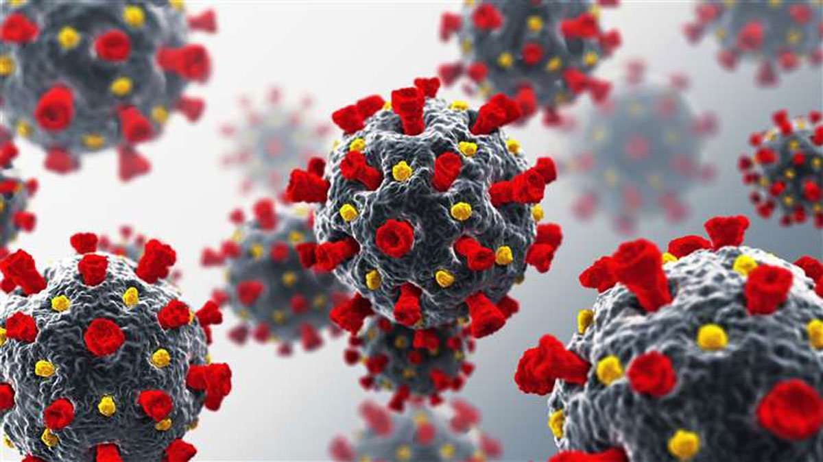 Covid-19 Structure