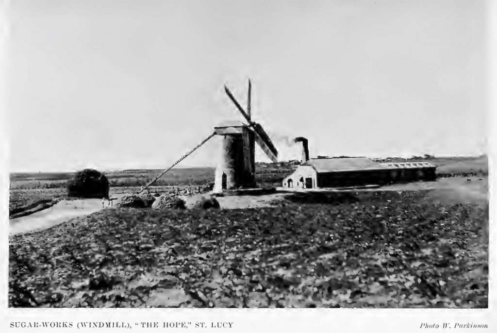 Wind Sugar Mill, Barbados