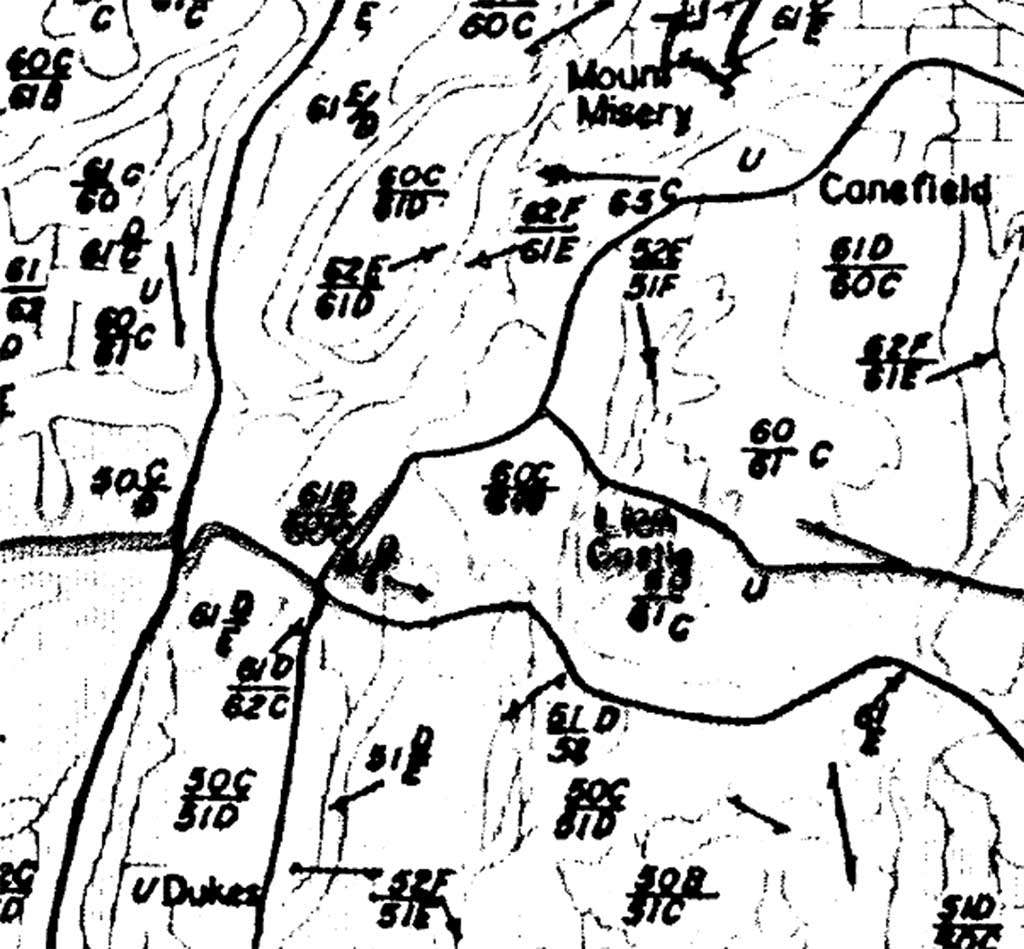 Dukes Plantation - Figure 6
