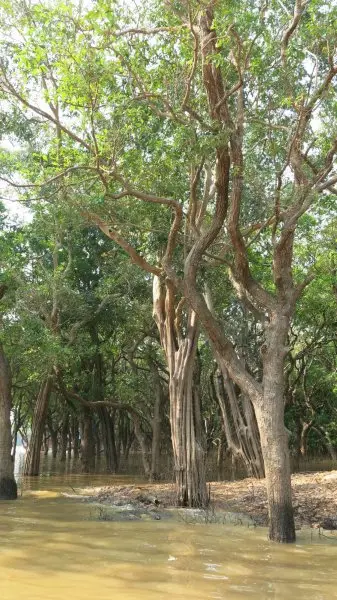 Lake Tonle Sap and Kompoung Pluk