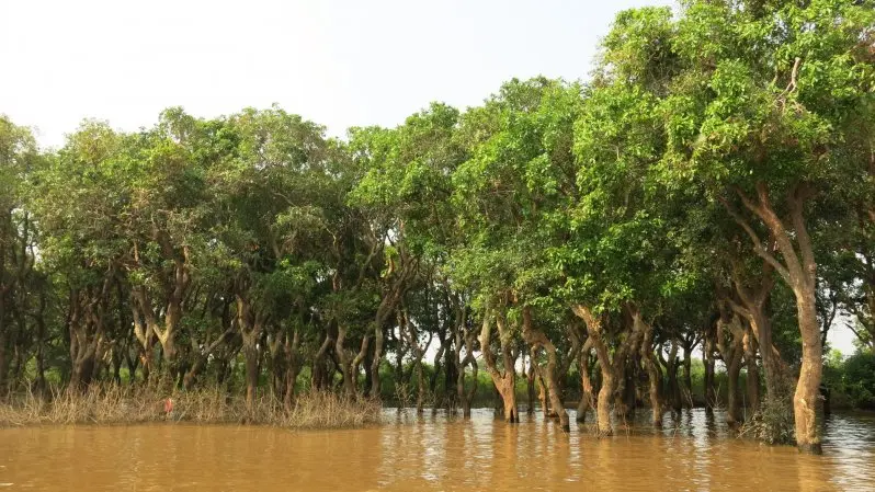 Lake Tonle Sap and Kompoung Pluk