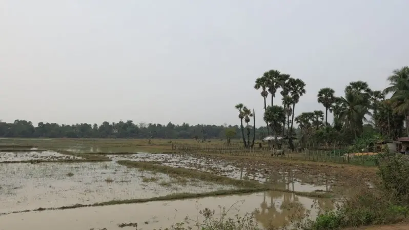 Pre Rup, Banteay Srei, Neakpoan and Preah Khan Temples