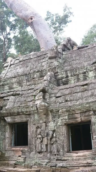 Ta Prohm - Tomb Raider Temple