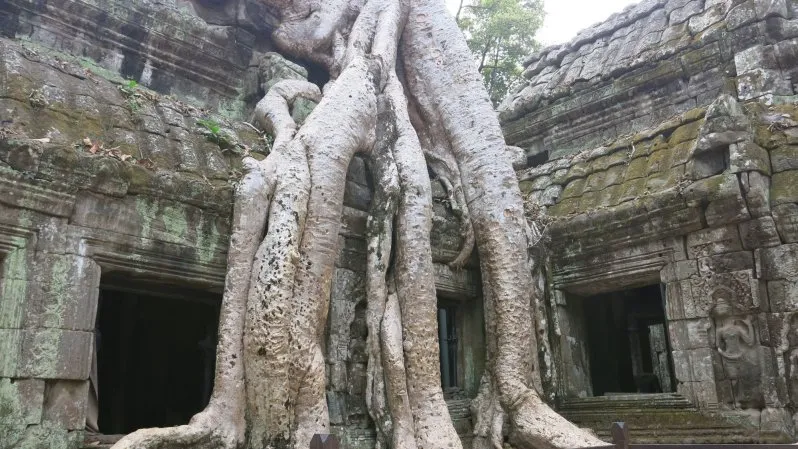 Ta Prohm - Tomb Raider Temple