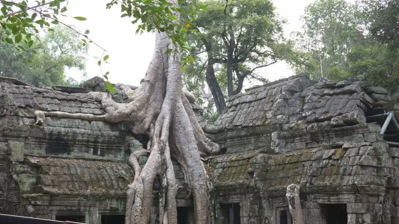 Ta Prohm - Tomb Raider Temple
