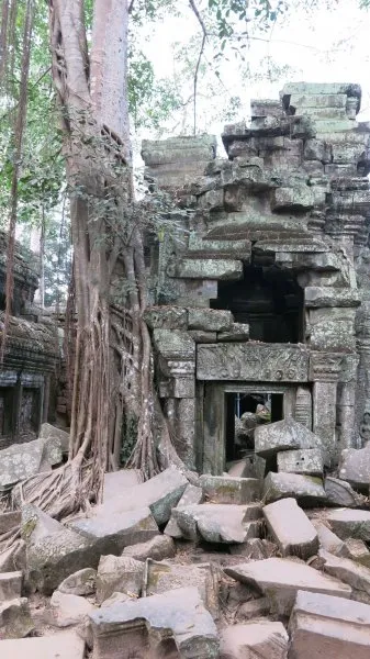 Ta Prohm - Tomb Raider Temple