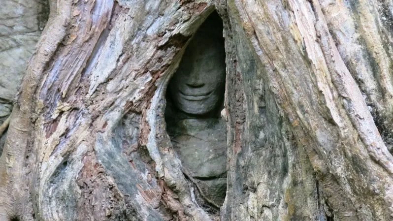 Ta Prohm - Tomb Raider Temple