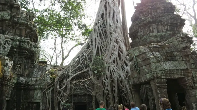 Ta Prohm - Tomb Raider Temple