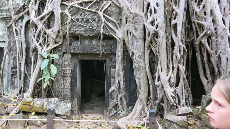 Ta Prohm - Tomb Raider Temple