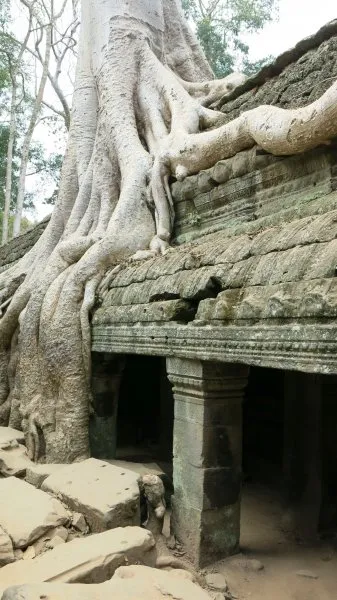 Ta Prohm - Tomb Raider Temple