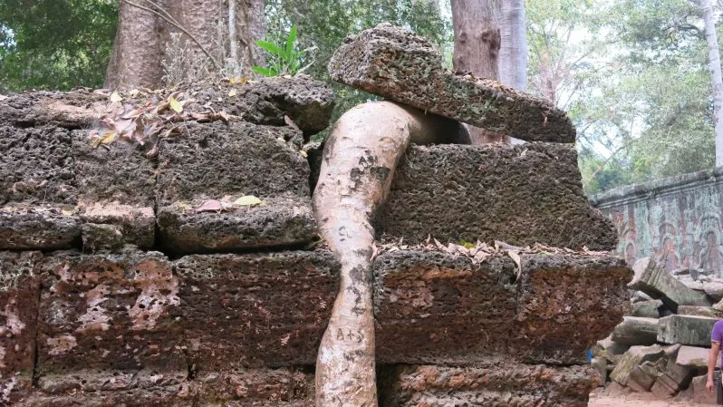 Ta Prohm - Tomb Raider Temple