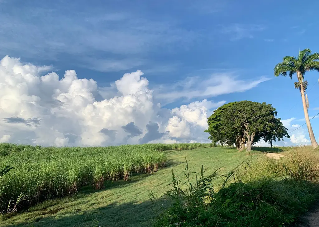 A St. Philip early morning hike