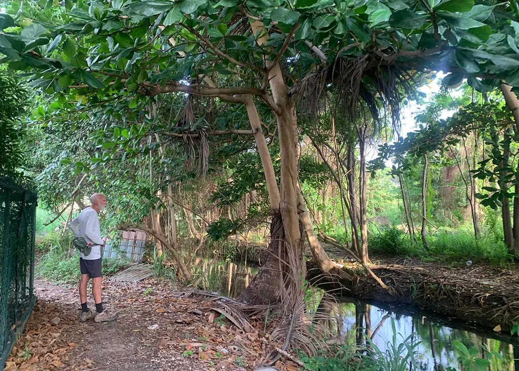 A St. Philip early morning hike