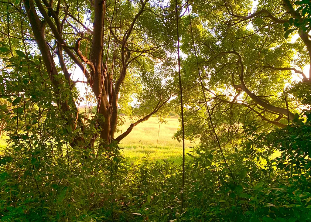 A St. Philip early morning hike