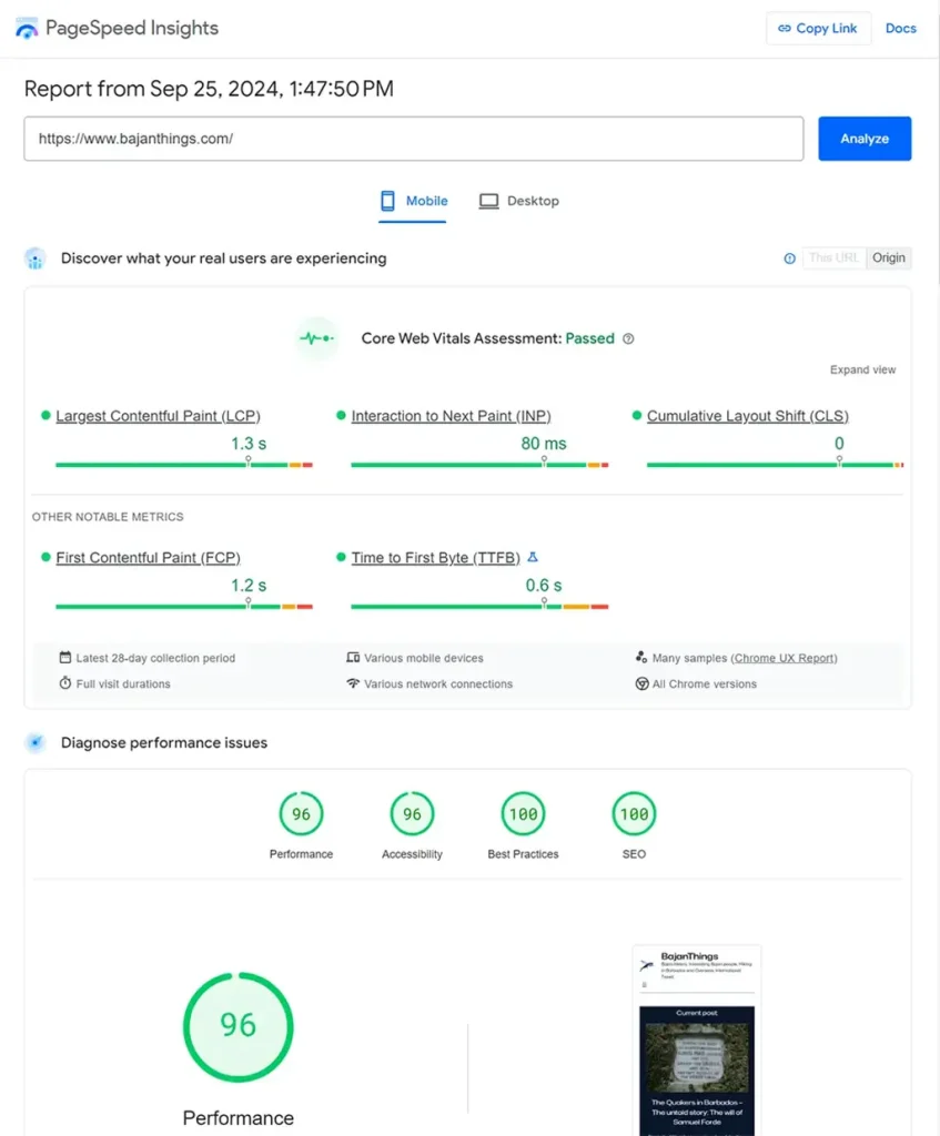 PageSpeed Insight score after implementing Manual AdSense ads