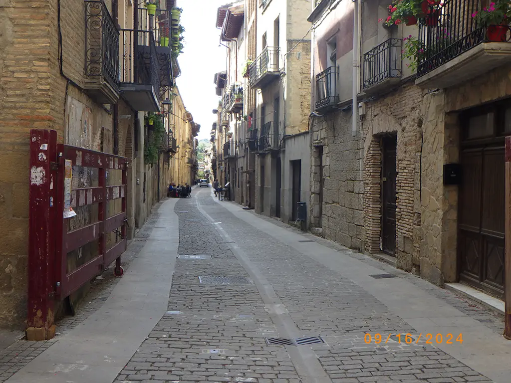 William walking the Camino de Santiago Frances