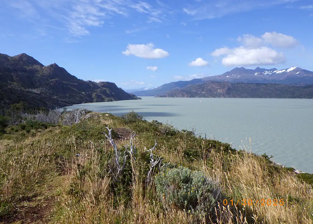 Chile - 2025: Lago Grey