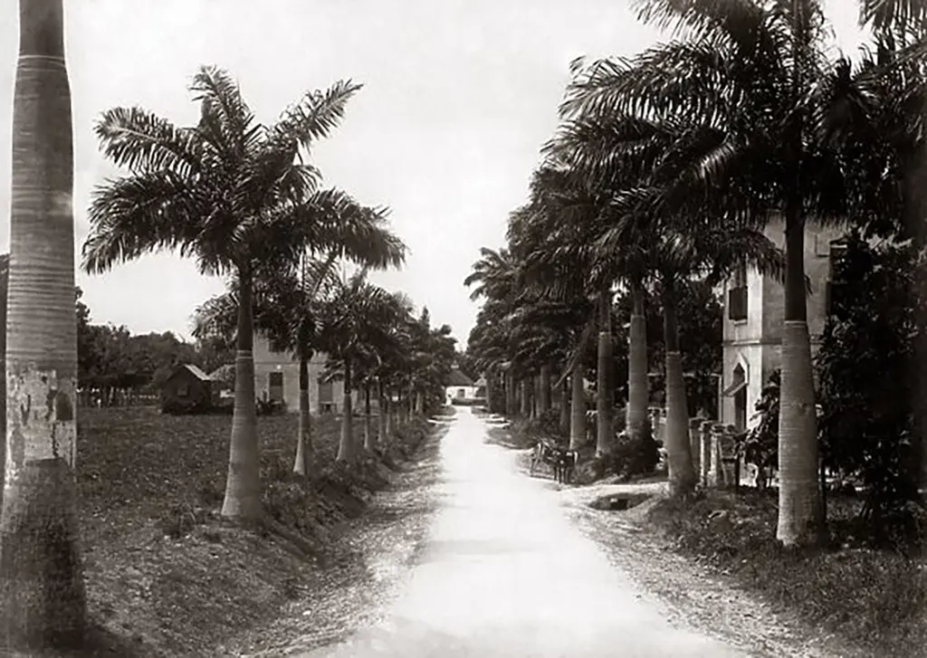 Belleville Village, Bridgetown Barbados