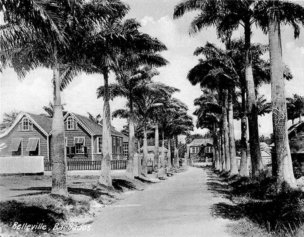 Belleville Village, Bridgetown Barbados