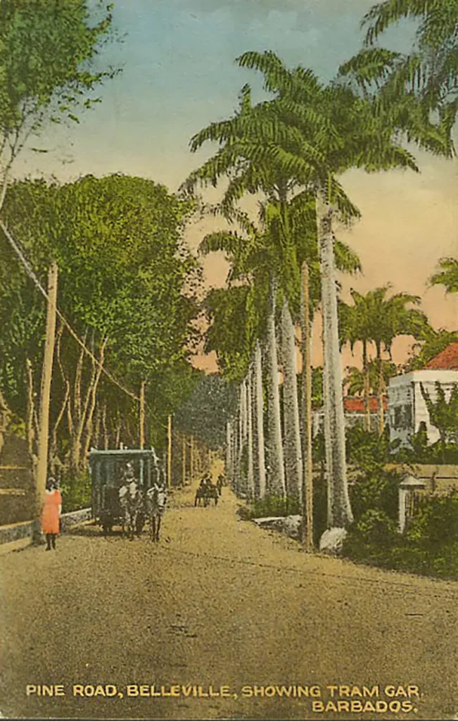 Belleville Village, Bridgetown Barbados