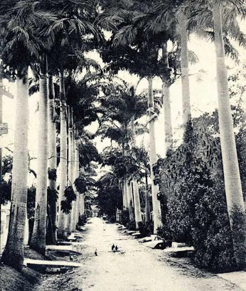 Belleville Village, Bridgetown Barbados