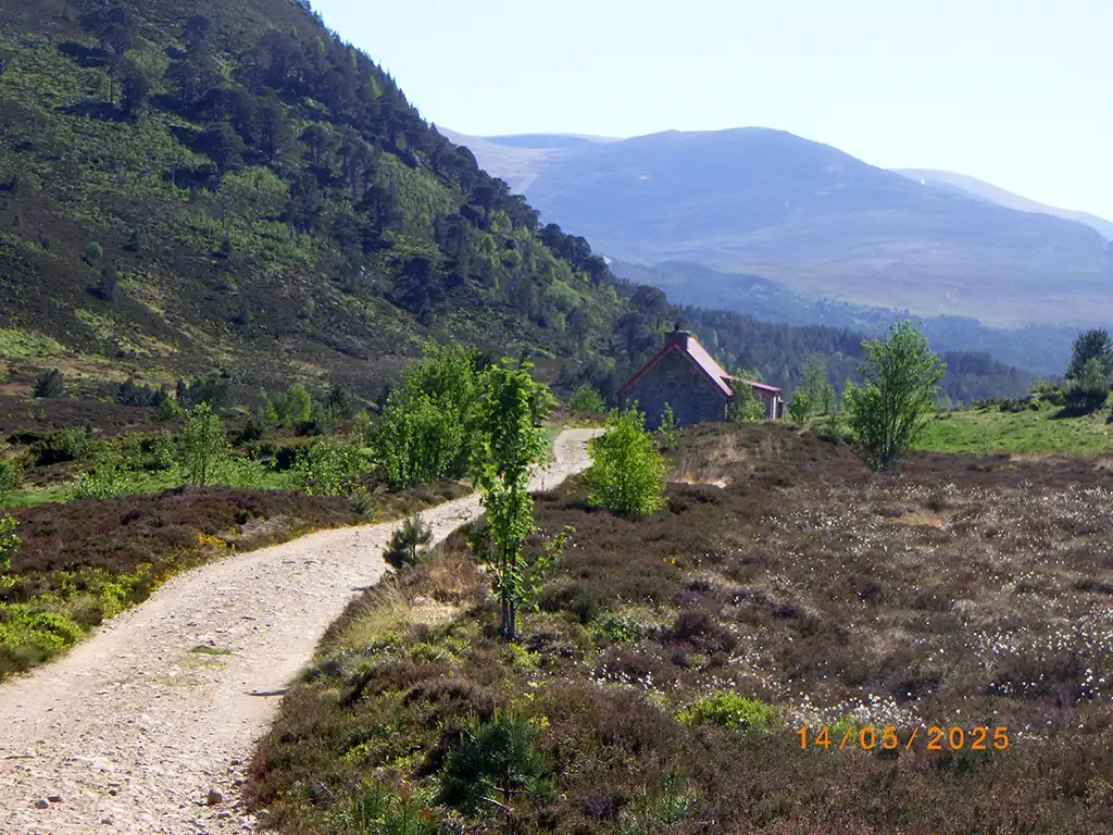 The Great Outdoor Challenge (TGOC) 2025