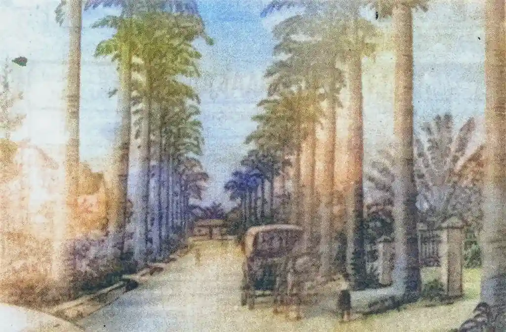 Belleville Village, Bridgetown Barbados