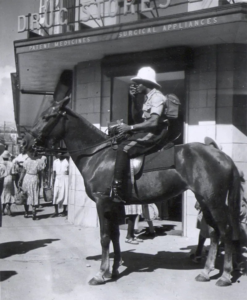 A Mounted policeman of the Barbados Police