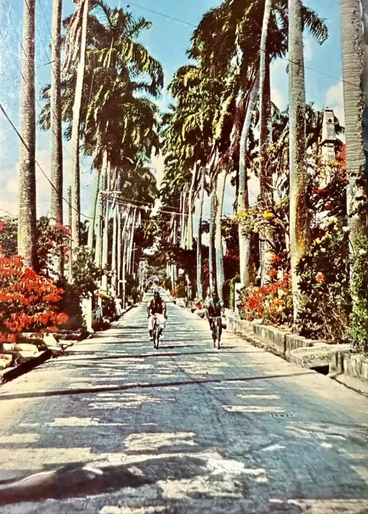 Belleville Village, Bridgetown Barbados