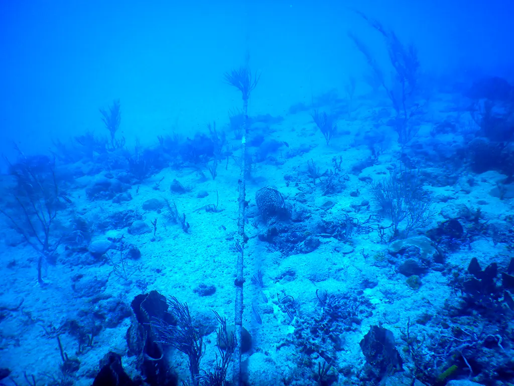 NAVFAC Barbados