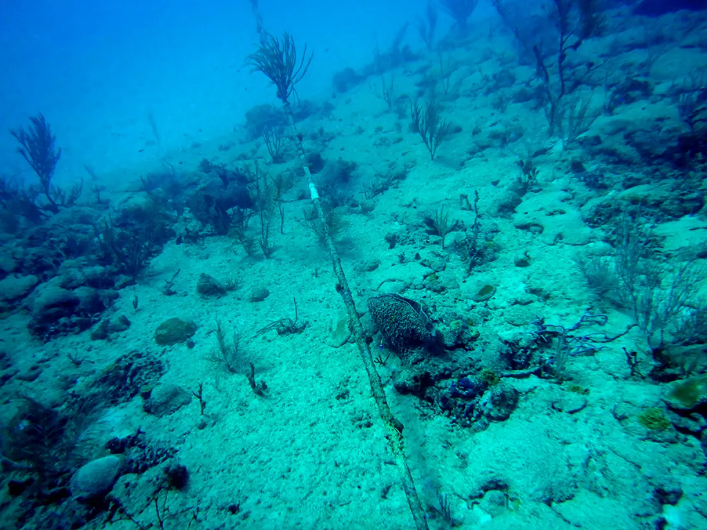NAVFAC Barbados