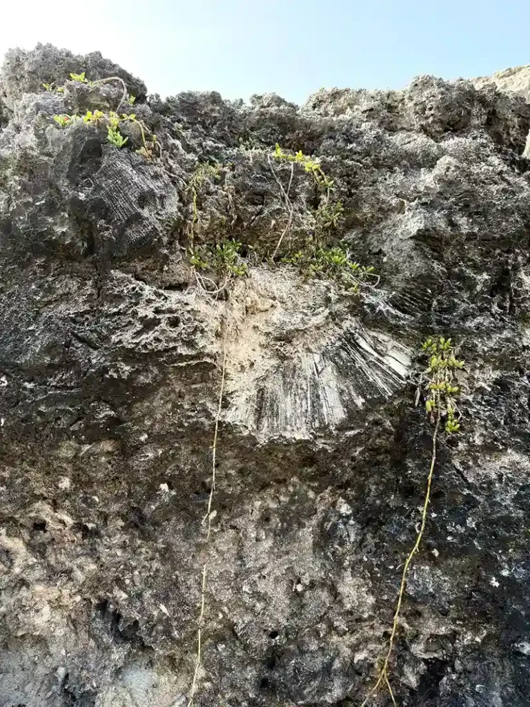 Inverted Boulder / Bottom-up boulder
