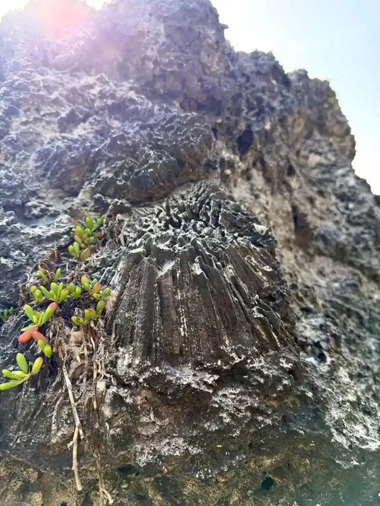 Inverted Boulder / Bottom-up boulder