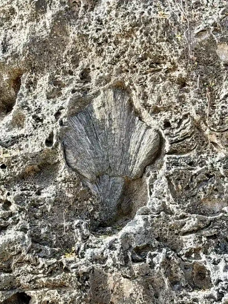 Inverted Boulder / Bottom-up boulder